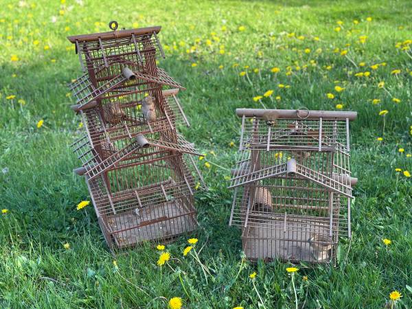 Vintage Rustic Bamboo & Wood Decorative Bird Cages – Set of 2 1