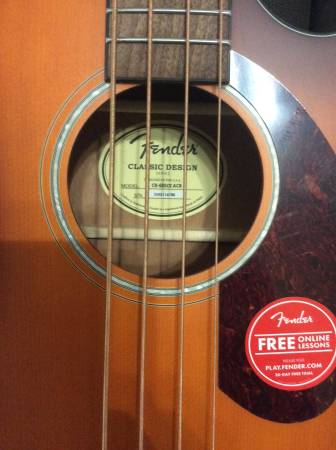 Fender acoustic bass & amp - $325 (Hampton)63436960514307122