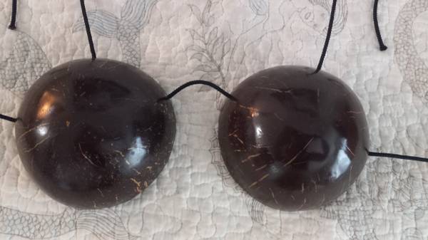 Coconut Boobs Bra with Cord, Natural Shell Bikini Top, Hawaiian Hula - $20 (Torrance)63471468414851121