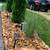 CHAVEZ LANDSCAPING LLC 11 thumbnail