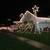 5 foot metal Christmas Star with White lights 1 thumbnail