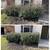 Alamo green works lawn care 4 thumbnail