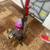 Dyson DC41 Animal Upright Vacuum Cleaner 7 thumbnail