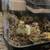 Ethically raised Coturnix Quail 9 thumbnail