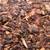Wood chips 4 yards 2 thumbnail