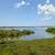 Land 0.39 acres - 10131 Eagle Preserve Dr - $380,000 17 thumbnail