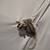 Sugar gliders 1 thumbnail