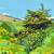 Alex Nizovsky - Cavallo Point Valley - Landscape Painting 30"x24" 5 thumbnail