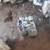 💲★ 2007-2010 MINI COOPER - MANUAL TRANSMISSION - #M18866 ★💲 2 thumbnail