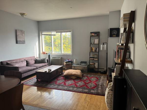 $2,500 / 1br - 450ft2 - $2,500 / 1br - 450ft2 - 1br in North Williamsburg avail Oct 1st (Brooklyn)63809019324033120