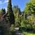 Large friendly house, students, utils included 10 thumbnail