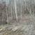 6.6 wooded acres with cleared camp/build site-Owner Financing Availabl 3 thumbnail