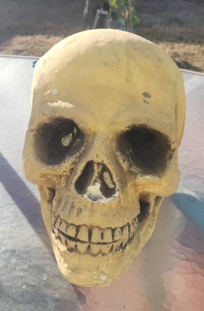 Yard sale photo
