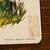 Rare 1960s-70s Children’s BOARD BOOK Animals and Where They Live 8 thumbnail