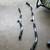 Two Heavy Duty Pull Down Bars Gym Equipment 2 thumbnail