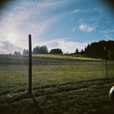 experienced gardener looking for work 1