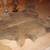 STEER HIDES , SHEEPSKIN 2 thumbnail