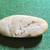 VINTAGE NEPHRITE CARVED 3" JADE PEBBLE FISH IN POND GREEN & BROWN PEND 1 thumbnail