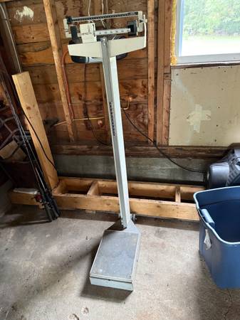 Upright Weight Scale DETECTO 1