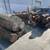 WALNUT logs 3 thumbnail
