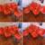 ROBUST RED FORMICA TABLETOP WITH VASE BASE PAIRED WITH OUTRAGEOUS ORAN 8 thumbnail