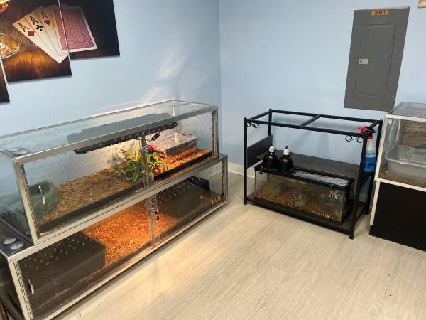 Reptile snake lizard frog turtle supplies enclosures (Wheeling)63844235525123121