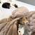 100% Authentic Persian Kittens 3 thumbnail