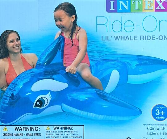 Ride-On Inflatable Pool Float 1