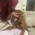 Dogue de Bordeaux 3 thumbnail