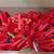 Nerf Gun Collection 3 thumbnail