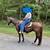 Grade Gelding 1 thumbnail