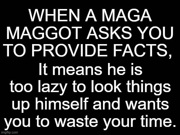 When A MAGA Maggot Asks You To Provide Facts 1