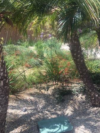 $1,900 / 1br - 535ft2 - Controlled Access/Gated, Laundry Facilities, Gas Range (701 N. Mobil Ave, Ventura County, CA)63800544403585123