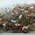 ART PRINT-"WILD STRAWBERRY BLOSSOMS" SIGNED by Nancy Taylor Stonington 2 thumbnail