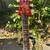 PRS McCarty 594 SE 3 thumbnail