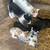 Rehoming farm kittens 2 thumbnail