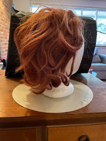 Wig and Clip on Hair Extensions 1
