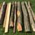 Random Locust Posts! Garden, Fence, etc. 7’ Some shorter/longer! 1 thumbnail