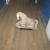 Antique Chinese Carved Limestone Horse Lawn Statue 1 thumbnail
