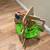 Manhattan toys excellent condition 3 thumbnail