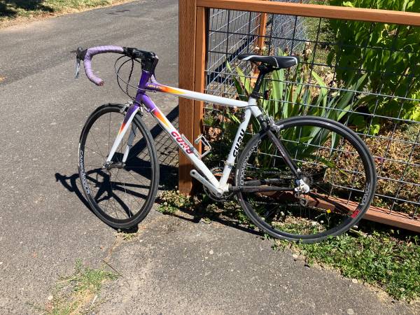Guru bicicleta de carretera - $300 (Lynden)634358454042911222