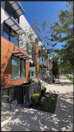 Modern, Pet Friendly Lower Apartment Rental (Queensbury Neighbourhood) 1