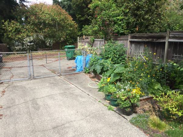 $2,000 / 2br - 860ft2 - 860sqFt/2br - Quiet MIL in NE Seattle W/D (Seattle)63866941990659121