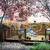 Historic 1bed 1bath apartemnt with garden in Williamsburg 19 thumbnail