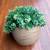 Artificial Succulent Orb Ball In Ceramic Pot Decor 5 thumbnail