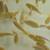 Cichlids 5 thumbnail
