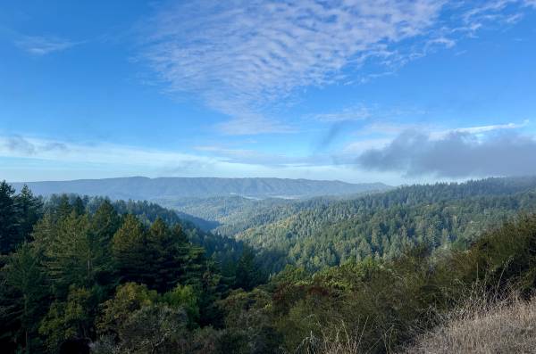 Professional seeks mountain Commuter room Tues-Thurs nights. 1