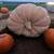 200-400LB PUMPKINS 1 thumbnail