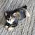 Barn kittens 13 thumbnail