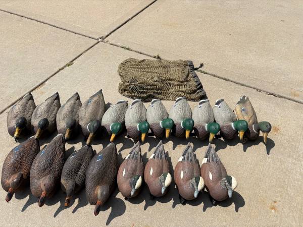 Duck Decoys with bag 1